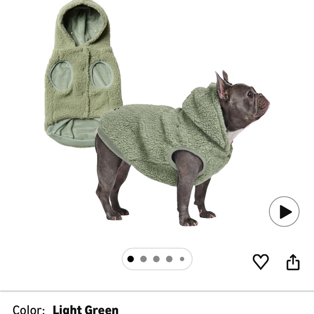 Cozy Green Dog Hoodie